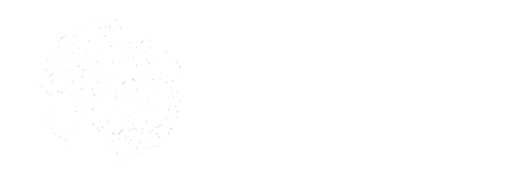 Symbiote Web Development