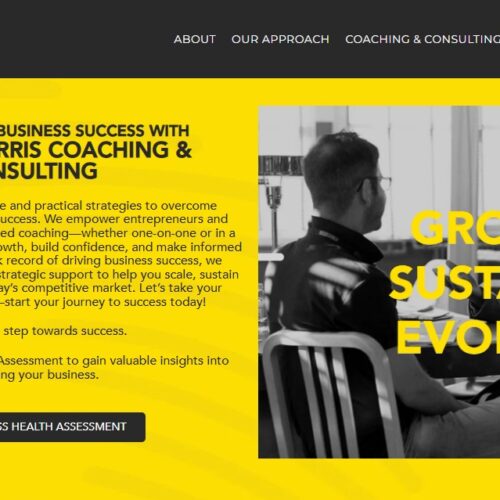 Business Coach Website